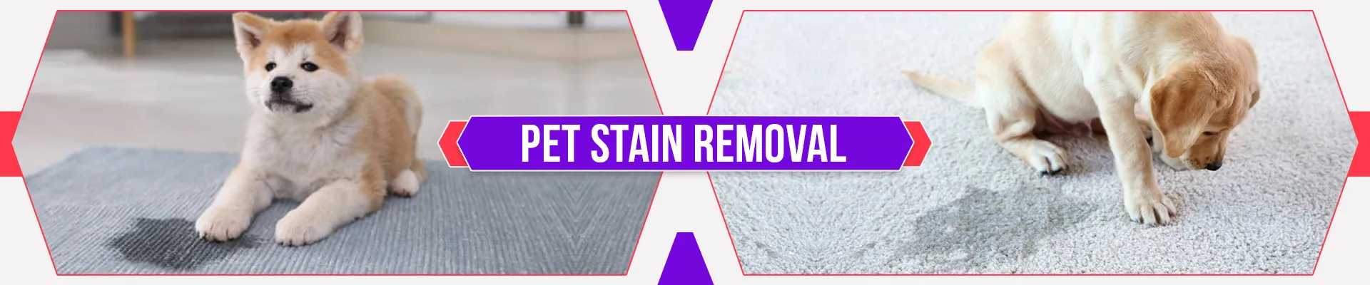 carpet cleaners in Brooklyn, carpet cleaning in Brooklyn, carpet cleaning bkln, carpet cleaners in brooklyn,  commercial carpet cleaning, commercial carpet cleaning in brooklyn,carpet cleaning in brooklyn,  brooklyn rug cleaners, rug cleaning services in brooklyn, same day carpet cleaning, same day rug cleaning