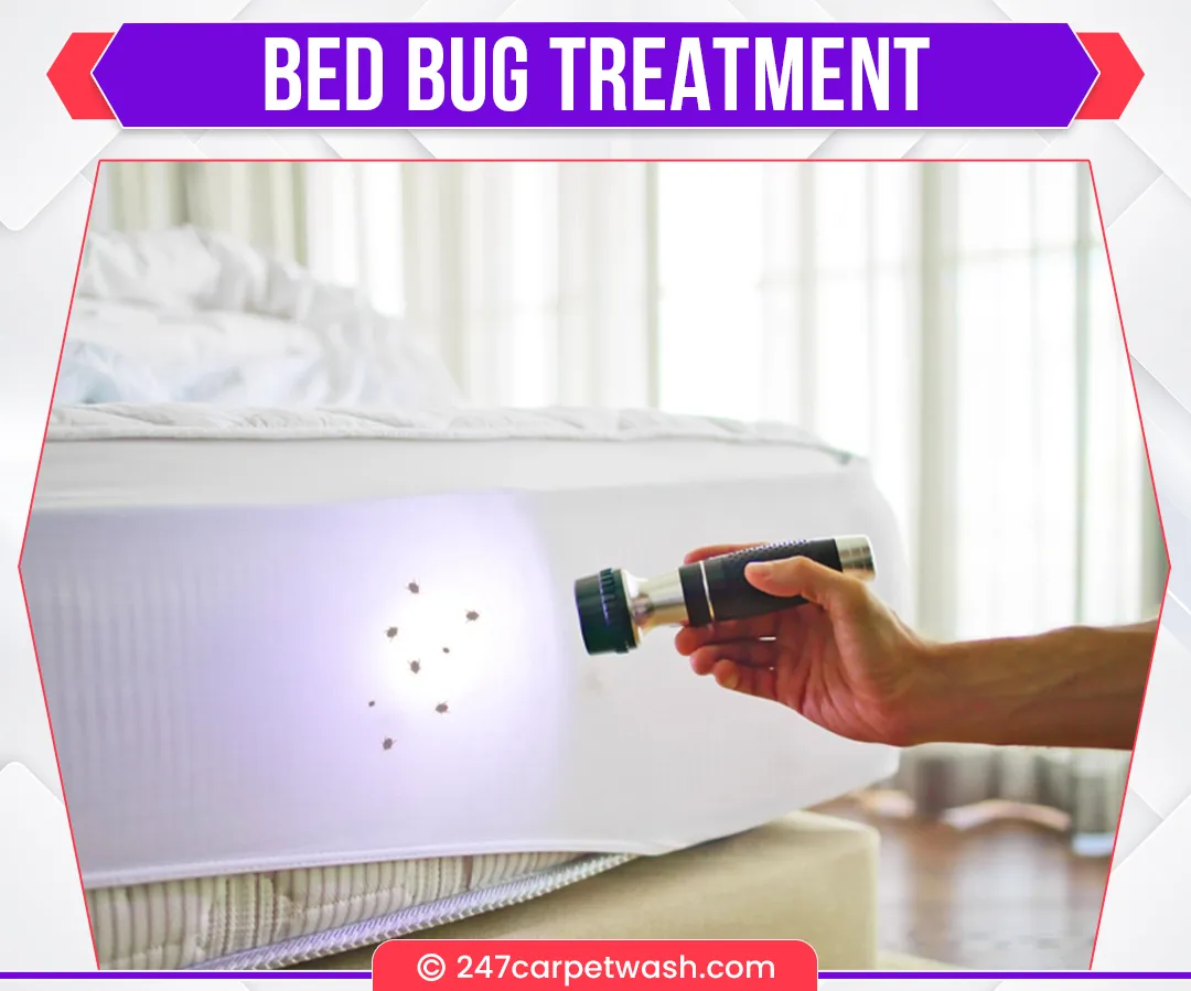 carpet cleaners in Brooklyn, carpet cleaning in Brooklyn, carpet cleaning bkln, carpet cleaners in brooklyn,  commercial carpet cleaning, commercial carpet cleaning in brooklyn,carpet cleaning in brooklyn,  brooklyn rug cleaners, rug cleaning services in brooklyn, same day carpet cleaning, same day rug cleaning